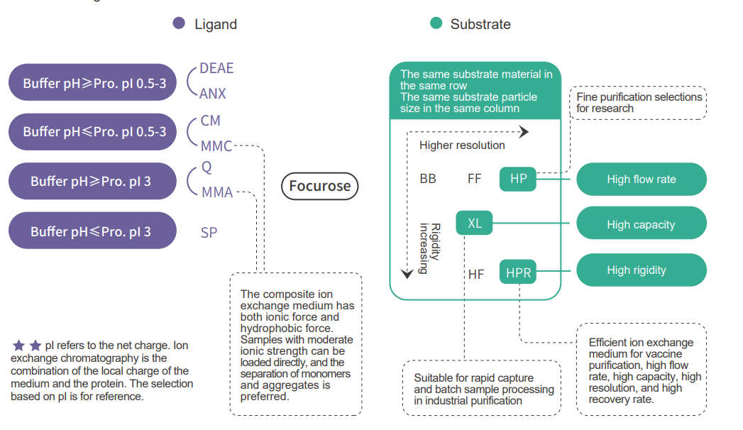 VDO Biotech | Ion Exchange Chromatography Media