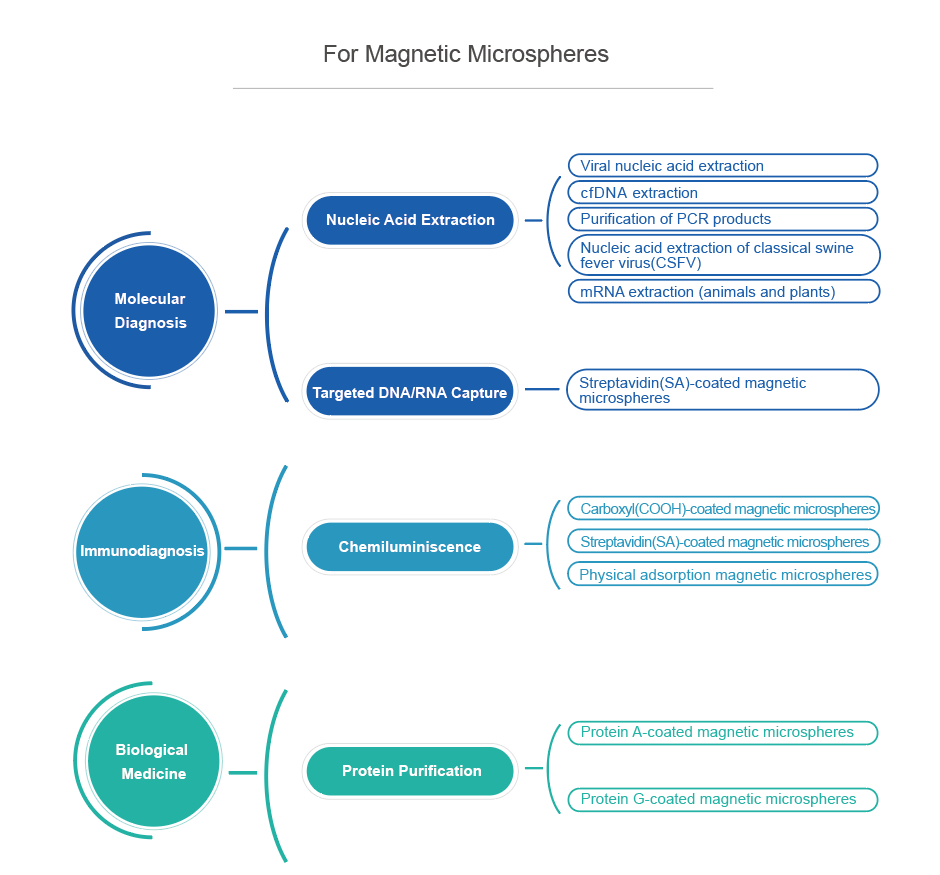 Magnetic-bead-applications.png