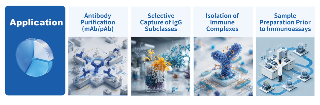 Protein G Magnetic Agarose Microspheres-3.png