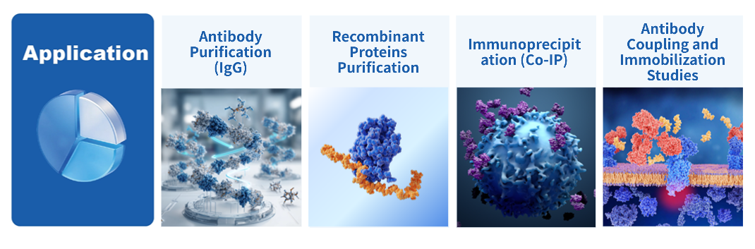 Protein A Magnetic Agarose Microspheres-2.png